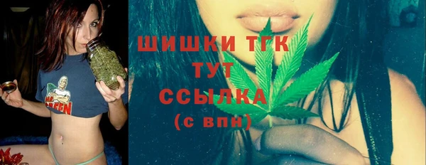 спайс Алексин