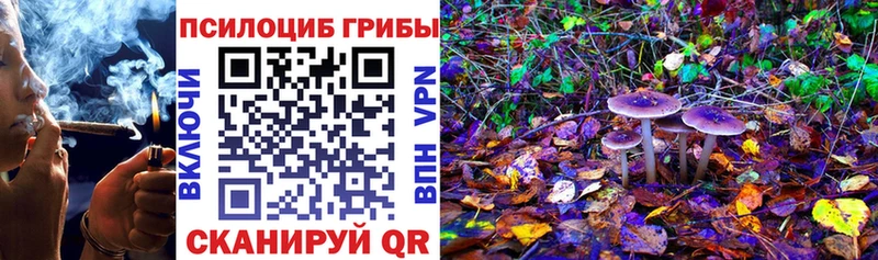 Псилоцибиновые грибы Psilocybe  Спасск 